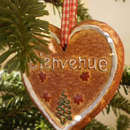 Kavala 360 Degrees * Amisiana