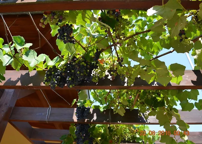 Сasa de vacaciones Kavala 360 Degrees Amisianá